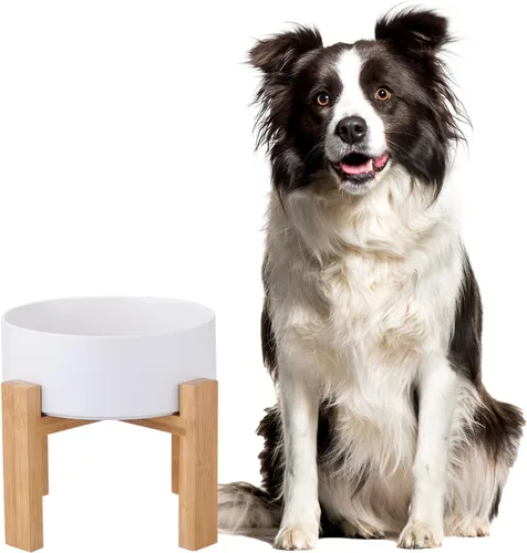 Vista 15 de Cuenco elevado de cerámica para gatos - Cuenco de comida para gatos con soporte de bambú - Plato elevado de comida para perros para cachorros - Verde