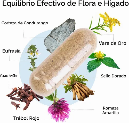 Vista 3 de Kroeger Herb Candida Cuidado del Hígado - 100 Cápsulas Vegetarianas