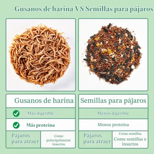 Vista 5 de WORMSKING Gusanos secos de harina de 2 libras para aves de corral, aves silvestres, sabrosa comida para pájaros