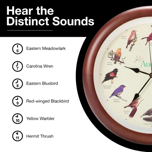Vista 5 de Mark Feldstein, Audubon - Reloj de pared con diseño de pájaro cantante, 13 pulgadas, cereza prémium