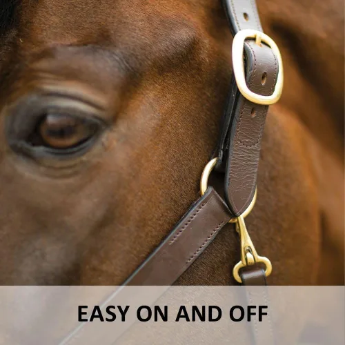 Vista 4 de Dura-Tech Premier Lancaster - Cabestro de cuero para caballos Cabestro de cuero económico simple con ajuste ajustable y herrajes de latón macizo