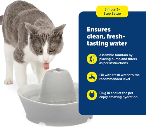 Vista 5 de PetSafe Fuente de cerámica para mascotas, para gatos y perros pequeños, capacidad de agua de 60 onzas, flujo de agua silencioso, ideal para mascotas