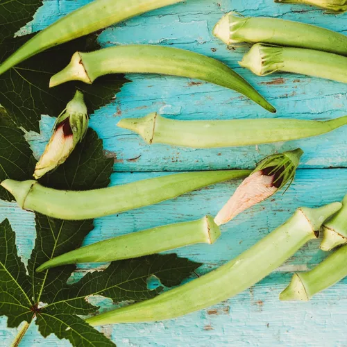 Vista 2 de White Velvet Okra - 50 semillas de okra reliquia, Thresh Seed Co.