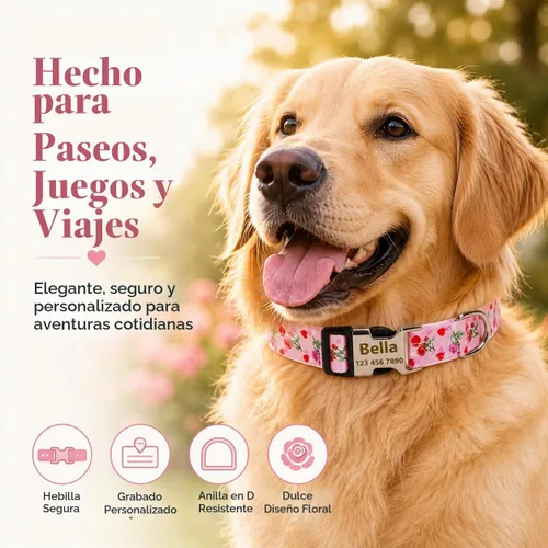 Vista 9 de Collar de perro personalizado personalizado con etiqueta de identificación grabada, nombre de perro y número de teléfono/collares de perro