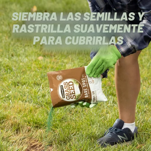 Vista 12 de Pennington Mezcla de semillas de césped para reparación de zonas descubiertas - Central 1 lb