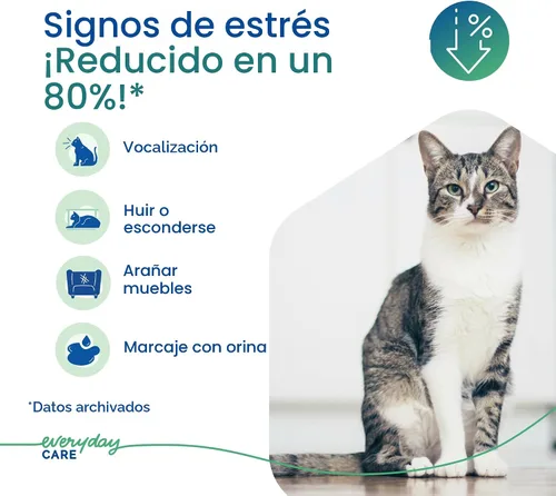 Vista 3 de Virbac Difusor de gel ZENIFEL Manejo de comportamientos relacionados con el estrés en gatitos y gatos - No necesita electricidad - dura hasta 2