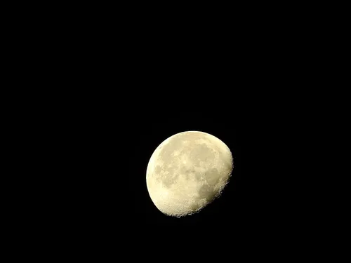 Vista 15 de Nikon Coolpix P900 Super Zoom Cámara - Nuevo