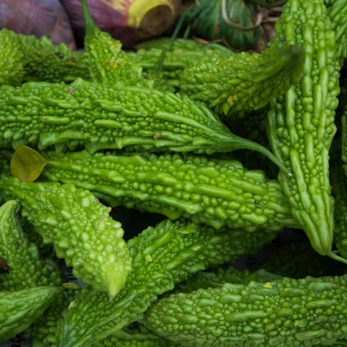 Vista 2 de 20 semillas de verduras de melón amargo, semillas de calabaza amarga para plantar al aire libre (largas)