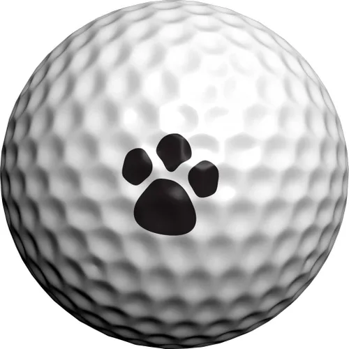 Vista 9 de Golfdotz - Marcadores de pelotas de golf novedosos que cumplen con las reglas de la USGA, calcomanías de pelotas de golf para marcar pelotas, no más