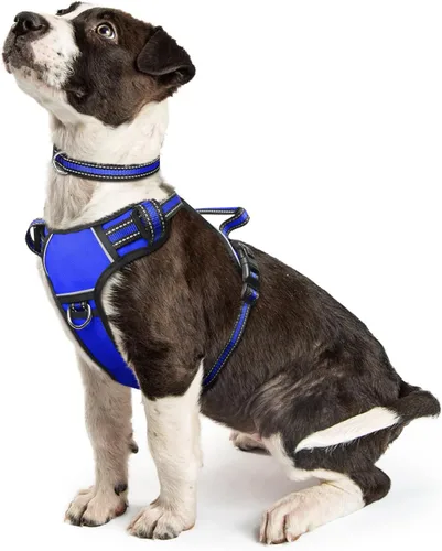 Vista 34 de Arnés para perro sin tirones, arneses para mascotas con collar, chaleco Oxford reflectante y ajustable, hebillas delanteras y traseras para correa