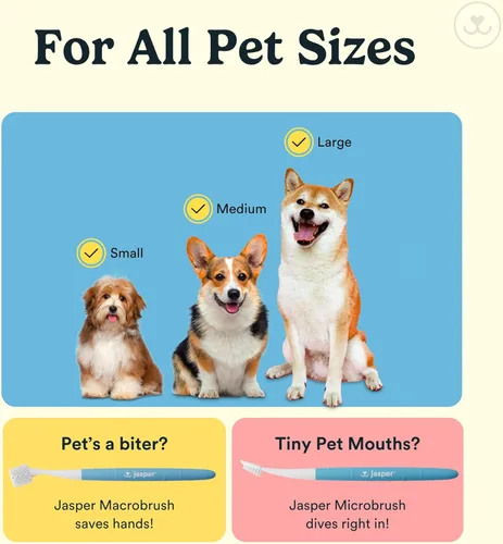 Vista 5 de Jasper Cepillo de dientes para perros, kit de cepillado de dientes de mascotas de 360 grados, cepillo de dientes para gatos, kit de cuidado dental