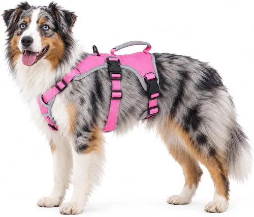 Vista 21 de Huntboo - Arnés para perro a prueba de escape, arnés reflectante con asa, duradero, chaleco ajustable para perros pequeños, medianos y grandes