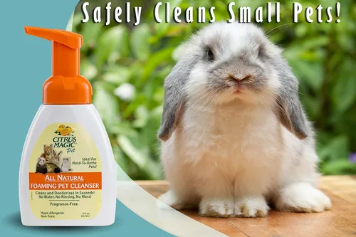 Vista 3 de Citrus Magic Champú para mascotas sin enjuague para mascotas, 8 onzas líquidas