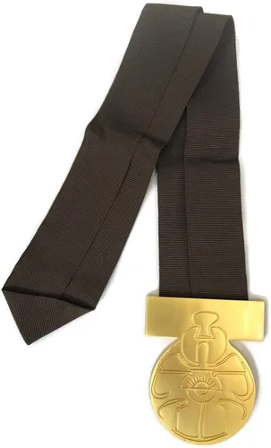 Vista 5 de Medalla Han Solo de YavinBravery Star Wars Apoyos Oro