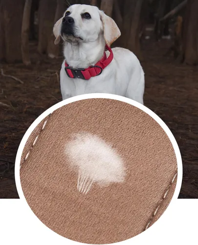 Vista 7 de Collar táctico para perro, collar ajustable de nailon para entrenamiento militar con mango de control y hebilla de metal pesado para perros medianos
