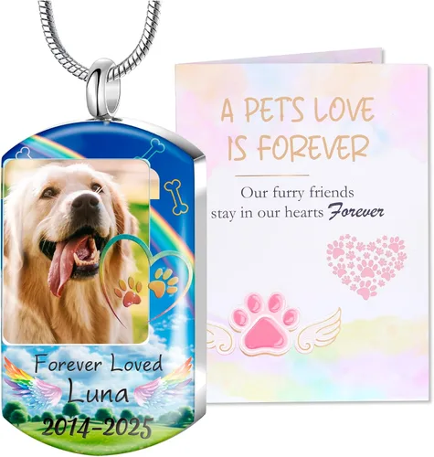 Vista 25 de Fanery Sue Collar personalizado para cenizas de mascotas para perros y gatos, foto y texto personalizados, regalo de condolencia, regalo