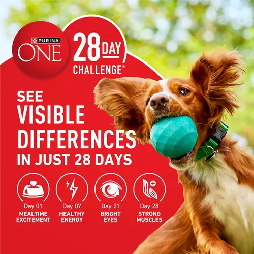 Vista 8 de Purina ONE SmartBlend - Alimento seco natural para perros adultos