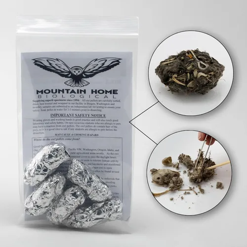 Vista 2 de Pellets de búho granero, paquete de 5 pellets extra grandes y guía de clasificación de huesos, envueltos individualmente en papel de aluminio