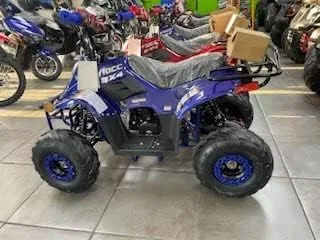 Vista 2 de Taotao Cuatrimoto BoulderB1 para niños, 110cc, Azul