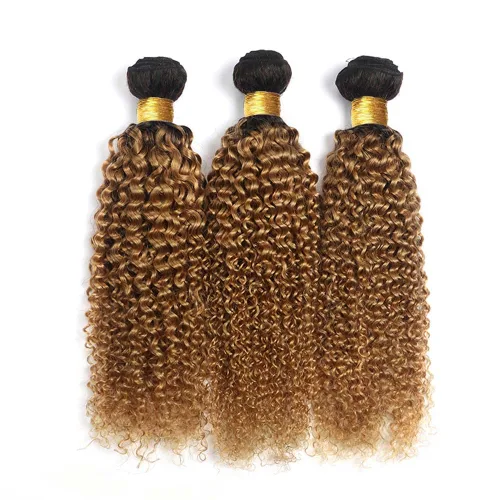 Vista 4 de Paquete 1B27 de Cabello Humano Rizado Crespo Rubio Miel de Dos Tonos Ombré Rubio Paquetes de Cabello Humano 8 10 12 Pulgadas Paquete Rizado Ombré