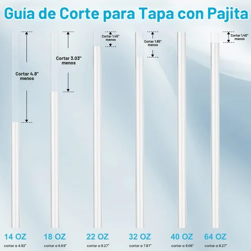 Vista 4 de 6 popotes de repuesto con 2 cepillos de limpieza para termo de hierro