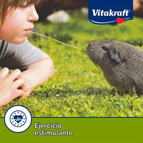 Vista 6 de Vitakraft - Palitos masticables para cobayas Crunch Sticks - Manzana y Naranja - Apoya dientes saludables