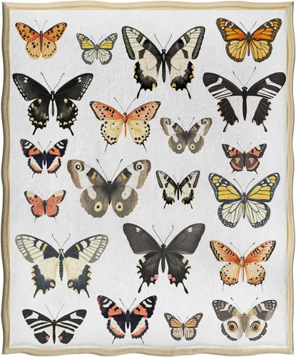 Vista 3 de Jekeno Manta de Mariposas Coloridas Regalos de Mariposas para Mujeres Niños Niñas Niños Mamá Esposa Adolescentes Cumpleaños Navidad Halloween San