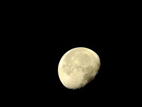 Vista 16 de Nikon Coolpix P900 Super Zoom Cámara - Nuevo