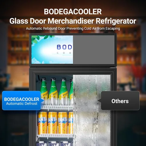 Vista 8 de BODEGA BODEGACOOLER Refrigerador comercial de bebidas de 15.5 pies cúbicos, enfriador de pantalla vertical con puerta de vidrio, refrigerador