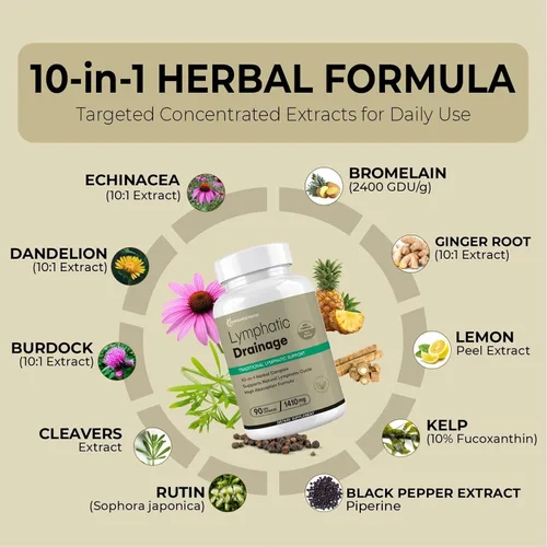 Vista 4 de Suplemento de drenaje linfático, complejo 10 en 1 con diente de león, algas, bardana, cuchillas y equinácea, suplemento natural de apoyo del sistema