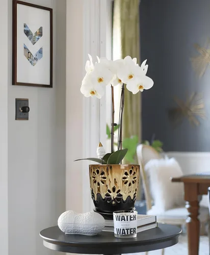 Vista 6 de Ollas de orquídeas de 6 pulgadas con agujeros Brown Black Ceramic Orchid Pot para trasplante marrón y negro