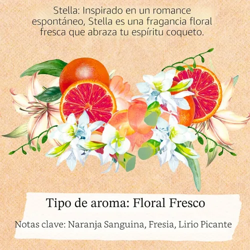 Vista 3 de Tocca Perfume para mujer Mini Discovery Sampler Set de 8, 0.1 fl oz cada
