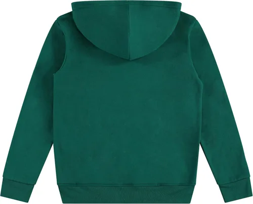 Vista 3 de Teenage Mutant Ninja Turtles Conjunto de sudadera con capucha y pantalones deportivos para niños pequeños y grandes, tallas 4-20