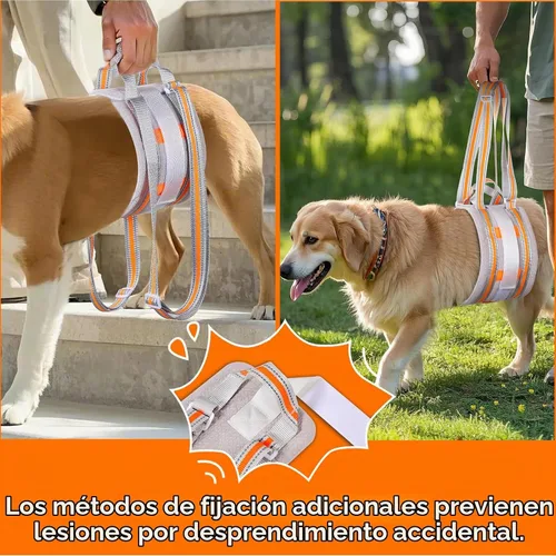 Vista 2 de Arnés portátil de elevación para perros, cabestrillo para perros medianos, soporte de pierna trasera, refuerzo contra amontonamiento, adecuado