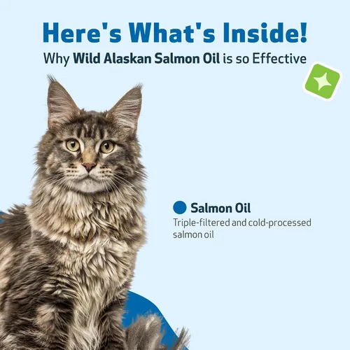 Vista 6 de Pet Wellbeing Aceite de salmón silvestre de Alaska para gatos, aceite de pescado omega-3 diario capturado en la naturaleza, procesado en frío