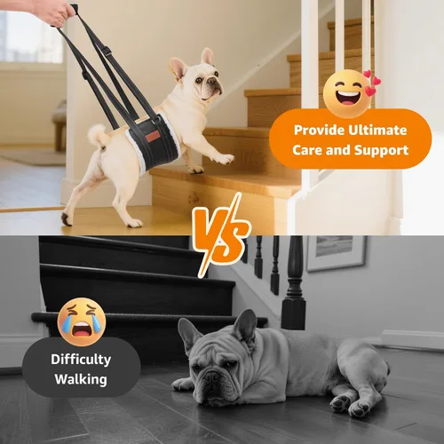 Vista 2 de LOOBANI - Arnés portátil para perros pequeños, soporte para patas traseras débiles Walking & Stair Assistance, Senior Dog Mobility, Padded