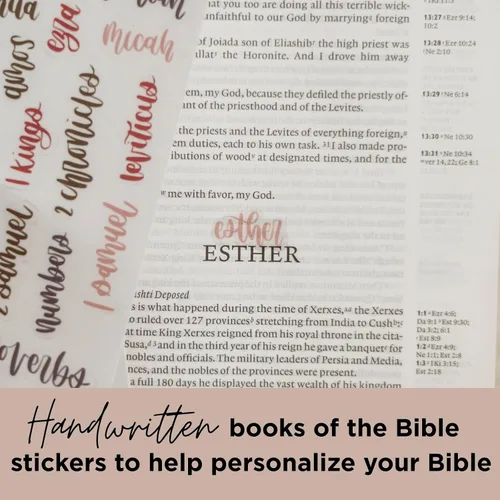 Vista 5 de Esther Bible Journaling Kit, Loaded Bible journaling Supplies, Highlighters, Pens, Vellum Bible Tabs, Sticky Notes, Sticker Sheets, Fineliner