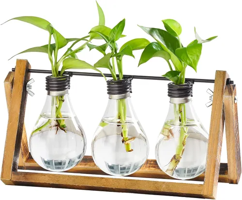 Vista 8 de Marbrasse Jarrón de cristal de escritorio, jarrones de vidrio con forma de bombilla para soporte, jarrón de planta creativa de pájaro con corazón