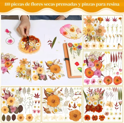 Vista 3 de Flores secas prensadas para resina, flores prensadas reales, hojas secas, kit de hierbas naturales a granel para álbumes de recortes, manualidades