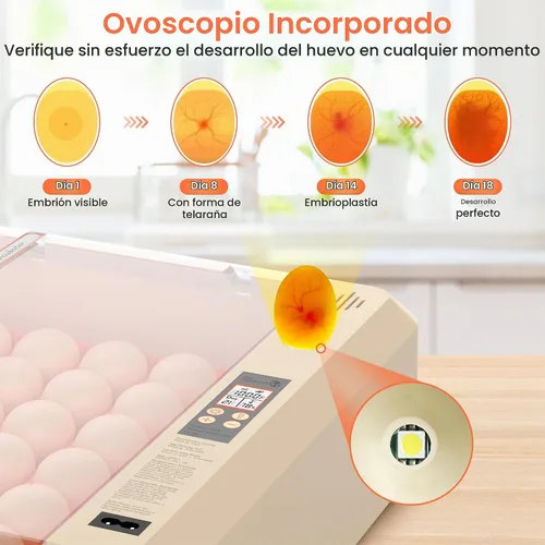 Vista 5 de Incubadora de huevos 36-60 con giro automático de huevos y control de humedad, incubadora de huevos de pollo ajustable con pantalla digital
