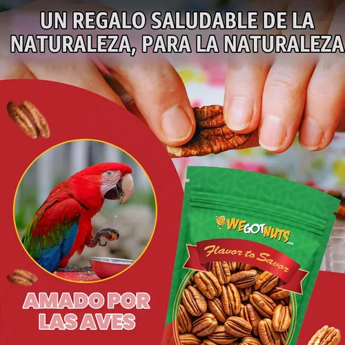 Vista 5 de Dos libras de nueces pecanas crudas, enteras, sin cáscara, crudas, naturales, sin conservantes añadidos, sin OMG, sin PPO, 100% natural We Got Nuts