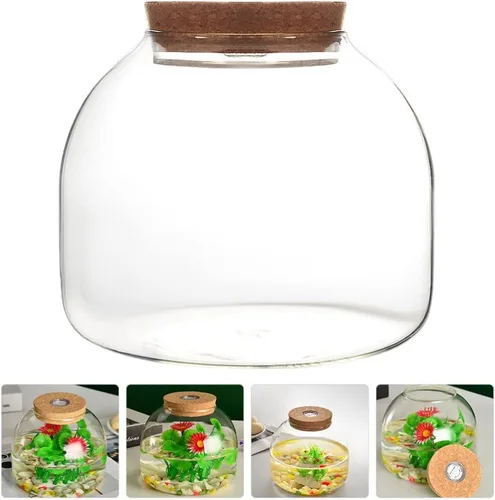 Vista 6 de PATKAW Tarro de terrario de vidrio para plantas suculentas, terrario, botella ecológica con tapa de corcho para suculenta helecho, musgo, plantas