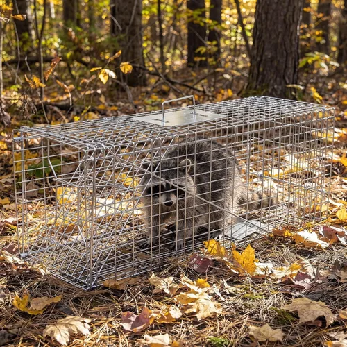 Vista 5 de Live Feral Cat Trap 33 Inch Humane Cage for Stray Cats