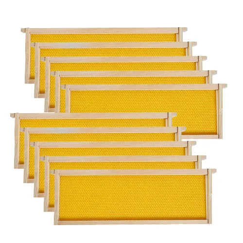 Vista 7 de Marcos de colmena de cría profunda con base de cera, paquete de 10 marcos de abeja de miel con hojas de base de grado alimenticio 100% recubiertas