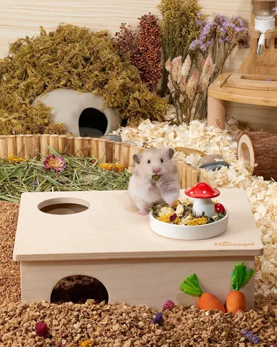Vista 6 de Niteangel Juguete de bocadillos y golosinas para hámster: mezcla natural de animales pequeños para robo sirio, jerbos, ratones, limmings degus u
