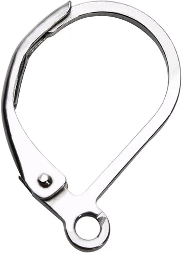 Vista 5 de Sturdy 316 Stainless Steel Lever Back Ear Wire Findings 11X16mm Gold Plated Pack of 20 Pieces