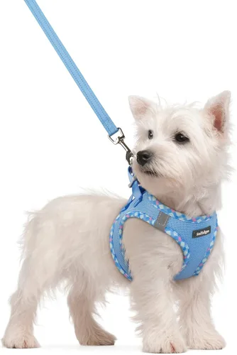Vista 155 de rabbitgoo Arnés para perro de tamaño pequeño y juego de correa, chaleco Cachorros de manzana