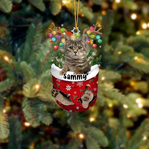 Vista 10 de Adorno personalizado de gato de rizo americano, adorno personalizado con nombre de mascota, colgante acrílico plano impreso en 2D, Papá Noel y gato