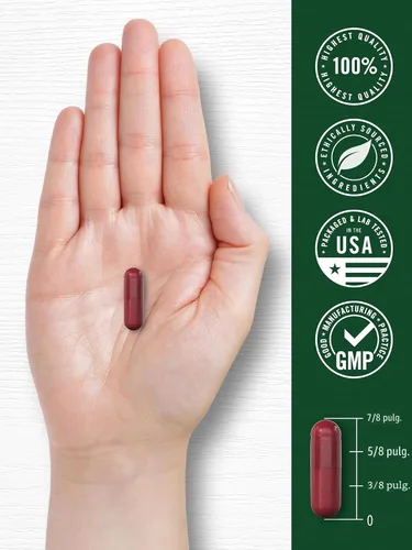 Vista 7 de Carlyle Cápsulas de raíz de remolacha 8000 mg 120 unidades Suplemento sin OGM y sin gluten