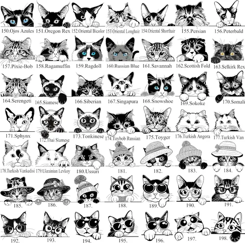 Vista 3 de Decoración personalizada para habitación de gatos, regalos temáticos personalizados para mujeres, letreros para el hogar, decoración redonda